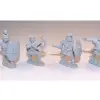 Photo of Republican Roman Light Infantry Command (ANR009)